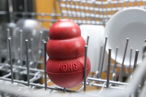 KONG in dishwasher
