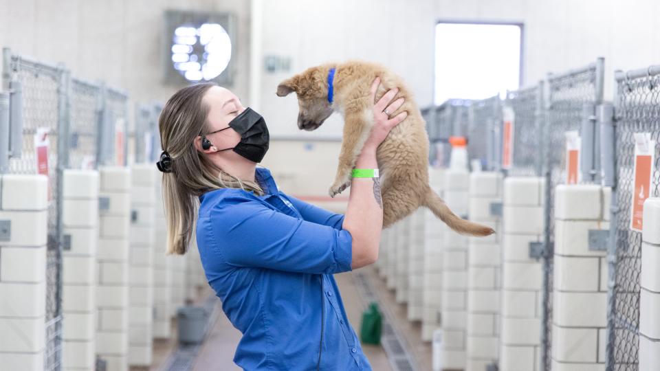 AHS adoption staff in mask holding a puppy
