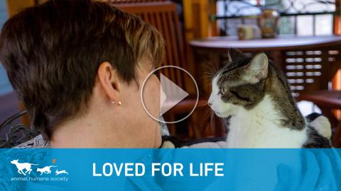 Learn more about Loved for Life