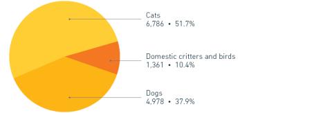 2021 Companion animal intake by species