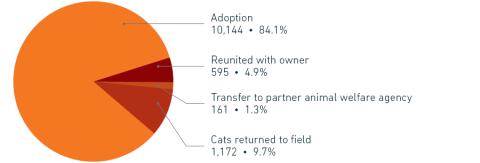 2021 Companion animal placement by type