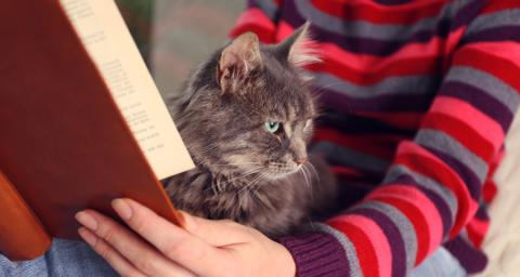 A woman reads a book with a cat in her lap