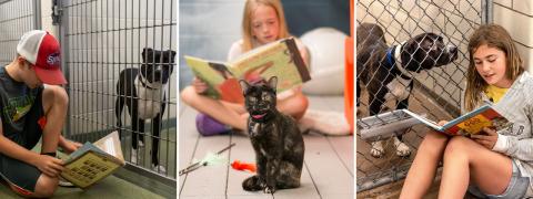 Collage of Rescue Readers participants reading to shelter animals