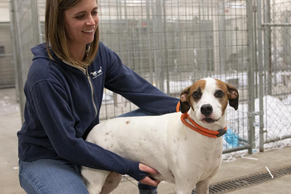 Six jobs you never knew existed at Animal Humane Society | Animal Humane  Society