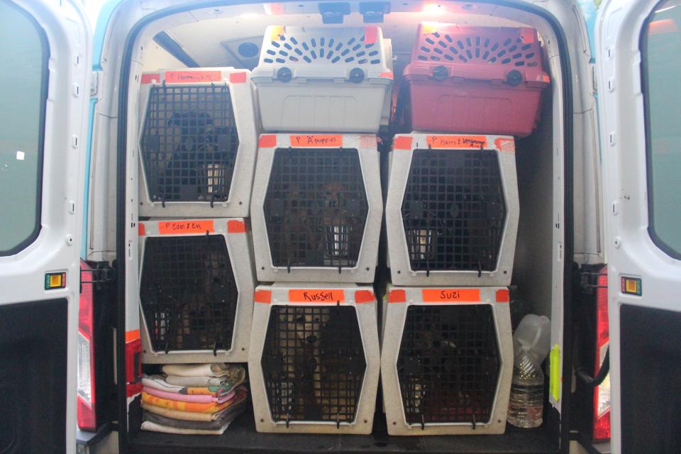Dogs loaded on AHS Transport Van