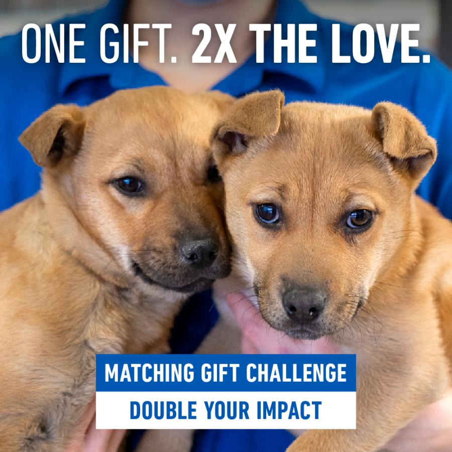 One gift. 2X the love. Double your donation.